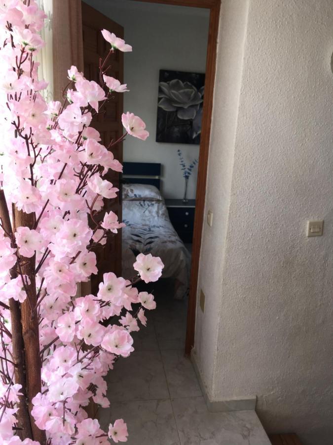 Casa Phoenix Bed & Breakfast Bed & Breakfast La Mariña Eksteriør bilde